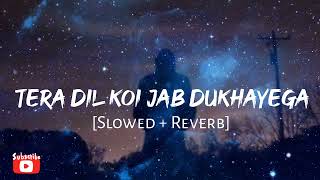 🎧Tera Dil❤️Koi Jab Dukhayegaa🥹 Tujhe Mera Pyar Yaad Aayegaa (Slow+Reverb)💔Lofi Song 🥰🎧