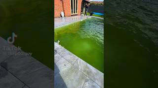 Cleaning dirty pool 🤢🌊 #pool #cleaning #satisfying #trending #subscribe #fyp #recommended #asmr