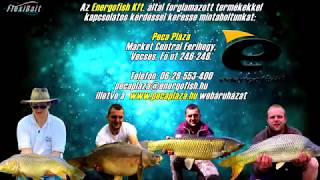 Flexi Bait - Energofish Kft.- Peca Pláza