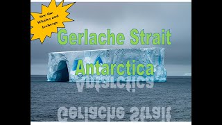 Unbelievable Adventure Exploring The Stunning Gerlache Straits In Antarctica - Ultimate World Cruise