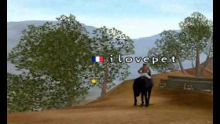 Mission Equitation Online Ilovepet et son cheval ♥Chocolat♥ au cross des U.S.A