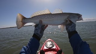 Fly Fishing at Port Aransas, Texas