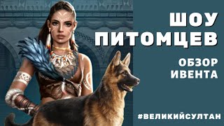 Великий Султан. ШОУ ПИТОМЦЕВ. Как эффективнее тренировать питомцев. В принципе НИЧЕГО СЛОЖНОГО.