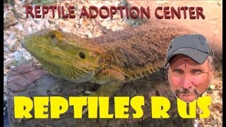 Ohio Reptiles R Us - Reptile Rescue Adoption Center