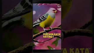 Percaya kata hatimu#inspirasikehidupan