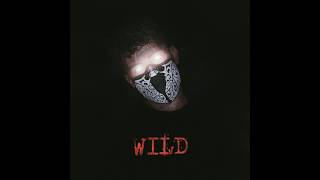 Lloyd P White - "WILD" (Audio)