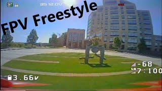 Toothpick Freestyle | NordyFPV