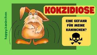 Kaninchenkrankheiten - Kokzidiose