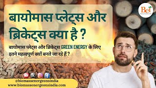 बायोमास प्लेट्स और ब्रिकेट्स क्या है? || Wood Pellets Green Energy के लिए इतने महत्वपूर्ण क्यों हैं?