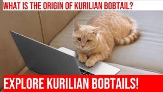 The Fascinating History of the Kurilian Bobtail Cat Breed