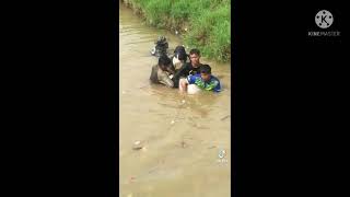 Tertangkap ikan gergasi di Gunung Semanggol