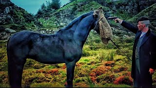 Tommy Kills His Horse | One of the most intense scenes I've watched | Peaky Blinders season 5