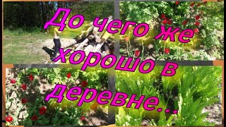 ВЛОГ//Приехали на огород//Арс колит дрова//Жарю грудку на мангале//Худею с веса 102.7 кг