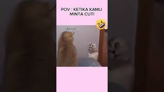 Sulitnya minta cuti kerja 🤣 #cat #memes #jokes #catvideos #work