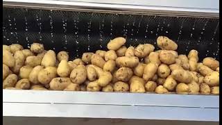 potato washing cleaning machine