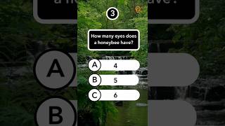 Animal Quiz Part 10 #short #animalsquiz #animalquizgame