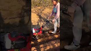 Orchard greenhouse management rotary tillage machine #Tillage, ditching, weeding and fertilization👏🏾