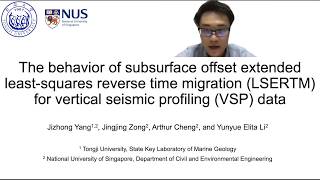 The behavior of subsurface offset extended LSERTM for vertical seismic profiling (VSP) data