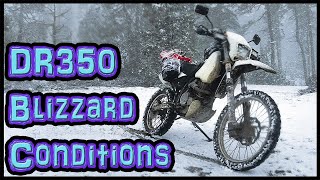 Riding the DR350 into a Blizzard || PNW Dual Sport