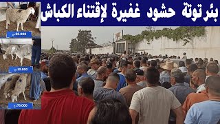 عيد الأضحى في الجزائر 2024