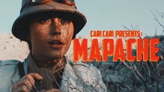 Cari Cari - Mapache