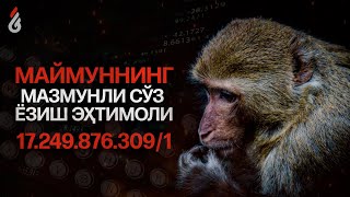 Ёзув машинкасида маймуннинг мазмунли сўз ёзиш эҳтимоли