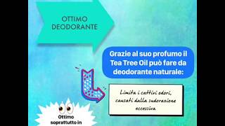 Tea Tree Oil-tutti i benefici