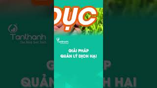 [Phần 1] Giải pháp quản lý dịch hại với Plastimula1SL+Checker 270SC #tanthanhco #youtubeshorts