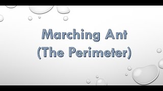 Marching Ants The Perimeter