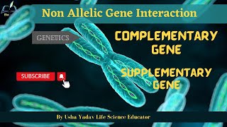 Complementary Gene || Supplementary Gene || #csirnet #genetics #bsc1stsemester