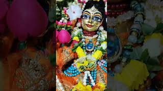 Daily Wonderful Radha Madhava Darshan #isckon #wonderful #radhakrishna #darshan #radhamadhav