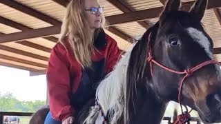 horse riding | enjoying horse ridding | godhi ki swari | Playing with horse