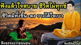 ฟังธรรมะก่อนนอน ใจสงบ อย่าใส่ใจ ใช้ชีวิตมีสติ🙏ฟังธรรมะก่อนนอน(963)6