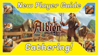 [Albion Online New Player Guide] Everything You Need to Know About GATHERING as a Brand New Player!