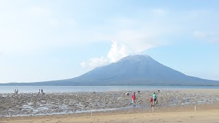 Live Cari Siput Di Pantai Lamahora Lembata