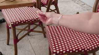 Hand feeding birds in Warsaw, Poland