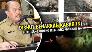 Heboh! Bukti Kemunculan Harimau Jawa Berhasil Ditemukan di Sukabumi, Benarkah? Ini Faktanya