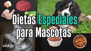 Cómo Elegir la Mejor Comida para tu Mascota: Consejos Clave #VidaTV #