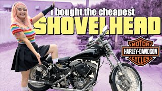 I Bought The Cheapest Vintage Harley On Facebook Marketplace