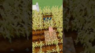 Minecraft: beautiful scarecrow