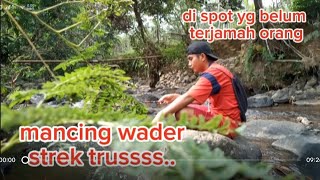 mancing wader.. strek teruss..di spot horor. jarang terjamah orang..@Bolomancingkali #mancingwader