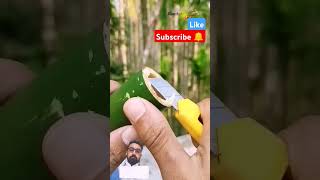 BAMBOO CREATION #SHORTVIDEO#YTSHORTS #trending