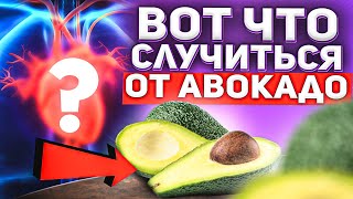 ✅ Стоит ли ТРАТИТЬСЯ На АВОКАДО ❗❗ ЗДОРОВЫЙ ОБРАЗ ЖИЗНИ