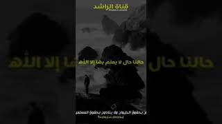 خالد الراشد حالات واتس اب دينية 🥺بماذا تعلقت قلوبنا🥺مقاطع حزينا 2022