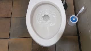 2005 American standard Canadian Cadet toilet vs 10 ft (with bloopers)