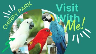 CHIRPY BIRD PARK- BAHRIA TOWN