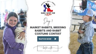 Harris County Fair and Rodeo 2023 - Market Rabbits, Breeding Rabbits, Rabbit Costume Contest