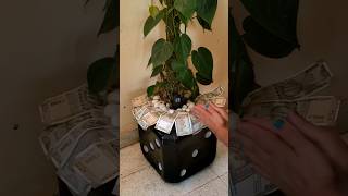 Bhola baba!#bhola#shiv#moneyplant#money#note#shorts#ytshorts