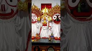 ତୁ ବଡ଼ ଠାକୁର ମୁଁ ଛାର ମଣିଷ 🙏🥺#newjagannathbhajanstatus #odia#jagannathbhakti#song #bhajan#bhakti#god