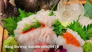 Cá mú sao ăn sống & nấu lẩu ( Grouper Sashimi & Hotpot )